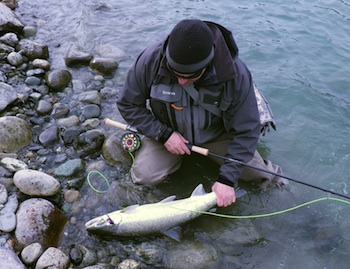 Vedder River Steelhead with April Vokey and Michael Gracie