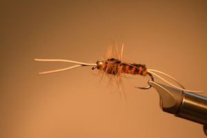 新田恵海　the betty nymph Beatty's EZY Prince Nymph Mutant Variant - The Fly Box
