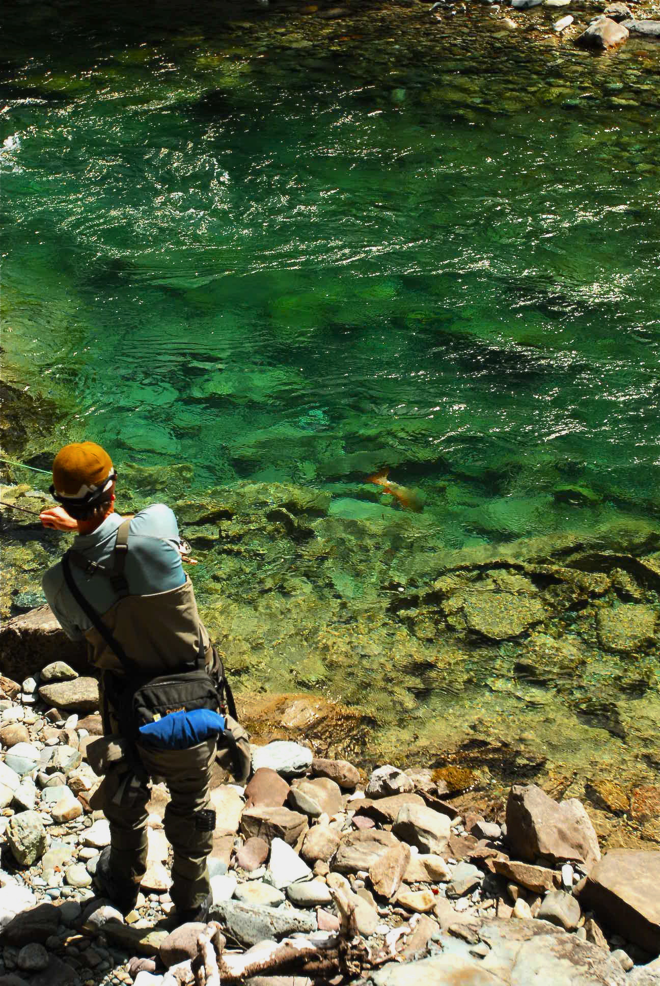 Best Montana Fly Fishing Trips—South Fork Flathead River